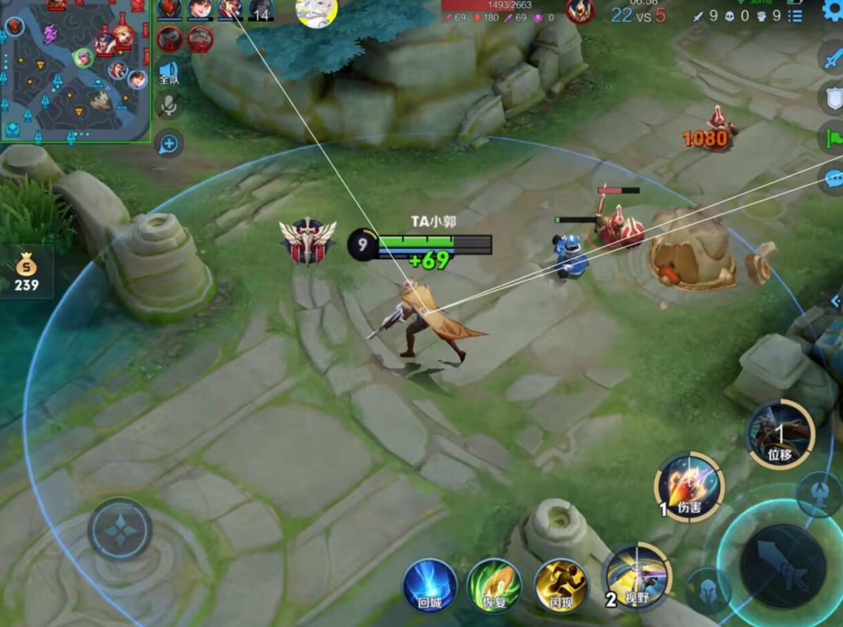 王者荣耀辅助《坚果》内部