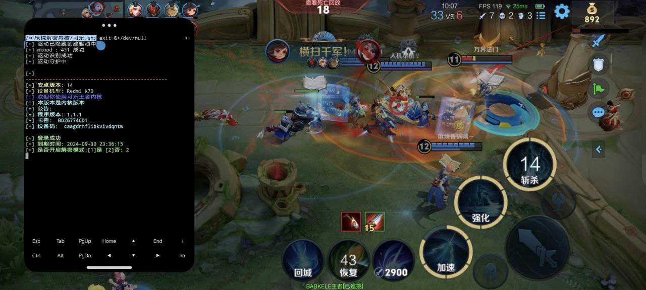 【王者荣耀辅助】内部