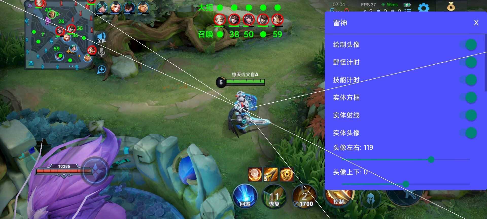 王者荣耀辅助《大熊》容器直装